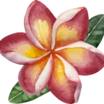 La Marina Hotel Mui Ne logo
